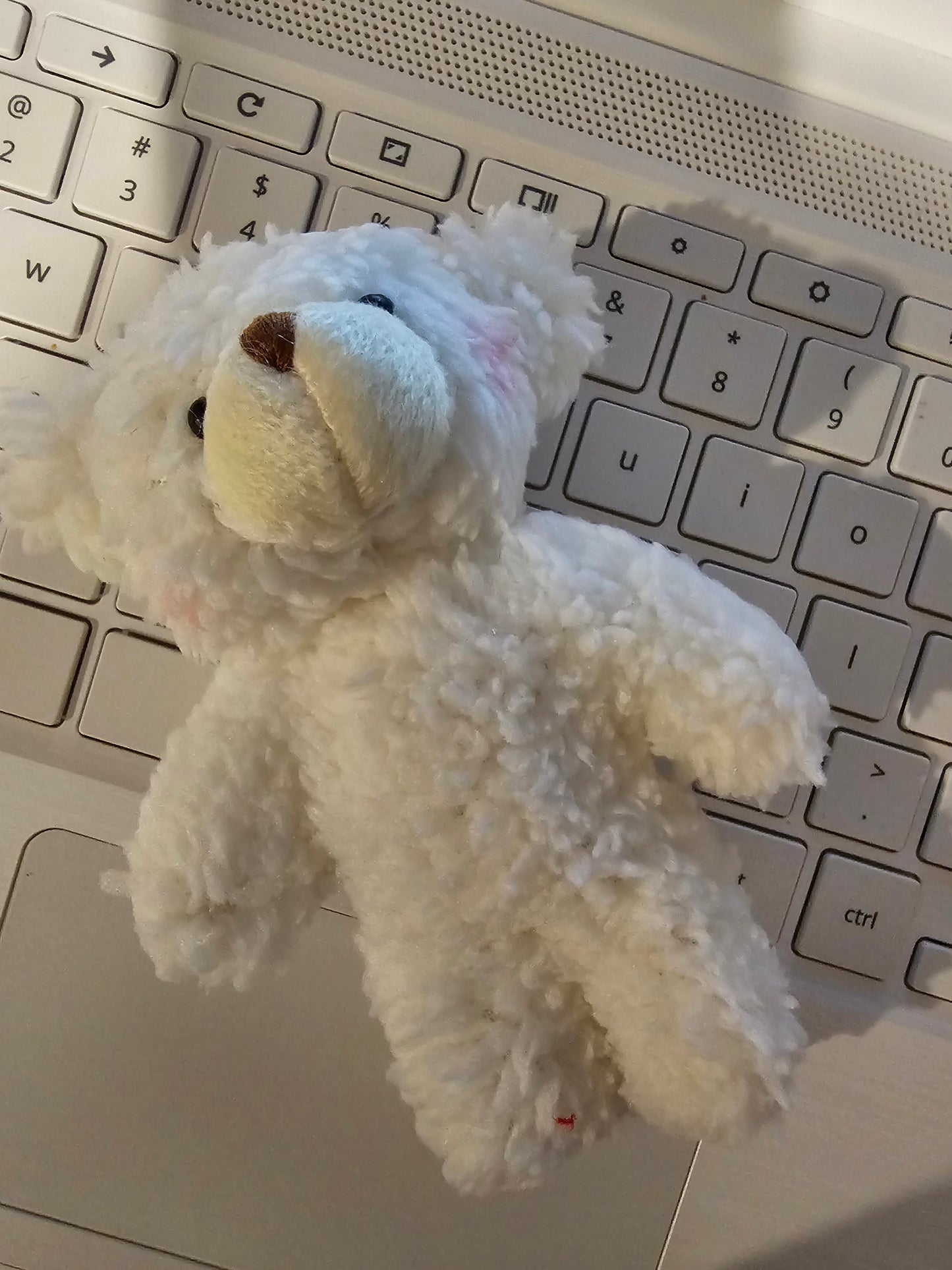 Adorable Cute Teddy Bear Doll White and Brown Keychain Accessories